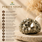 Pyrite Tortoise – Wealth, Prosperity & Vastu Crystal | Mioura