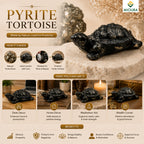 Pyrite Tortoise – Wealth, Prosperity & Vastu Crystal | Mioura