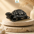Pyrite Tortoise – Wealth, Prosperity & Vastu Crystal | Mioura
