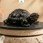Pyrite Tortoise – Wealth, Prosperity & Vastu Crystal | Mioura
