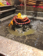 5 Mukhi Rudraksha From Omkareshwar Temple