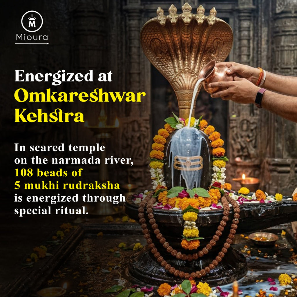 5 Mukhi Rudraksha From Omkareshwar Temple