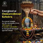 5 Mukhi Rudraksha From Omkareshwar Temple