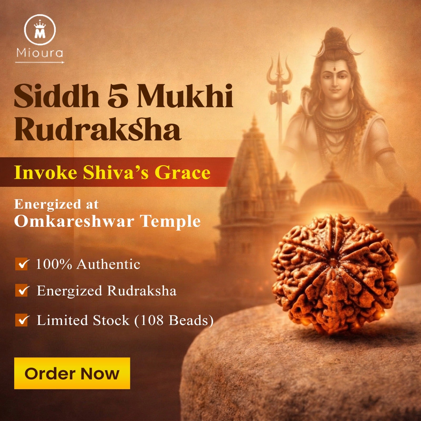 5 Mukhi Rudraksha From Omkareshwar Temple